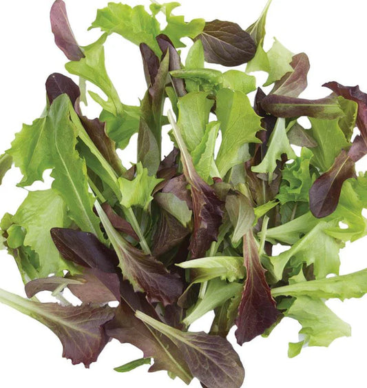 FAST AND FURIOUS BLEND ORGANIC LETTUCE