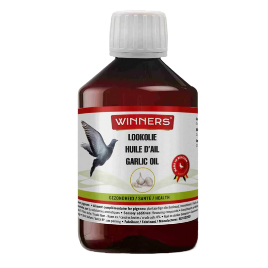 WINNERS GARLIC OIL 250ML