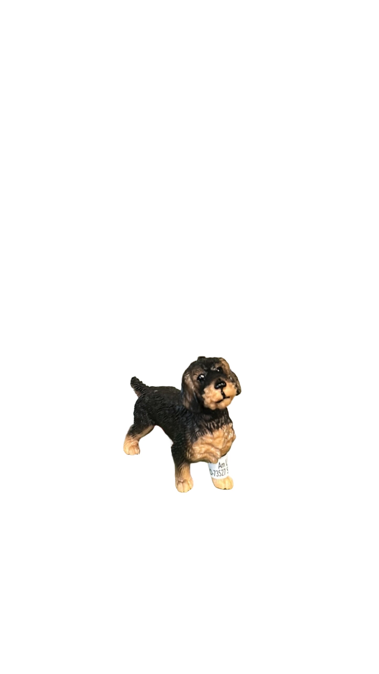 WIRE-HAIRED DACHSHUND