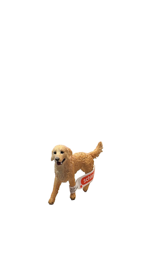 GOLDEN RETRIEVER FEMALE