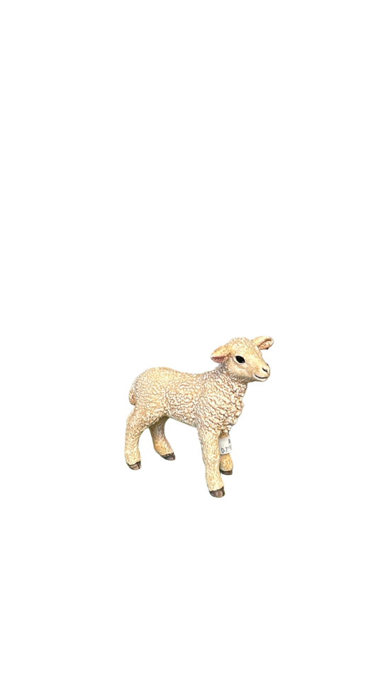 LAMB