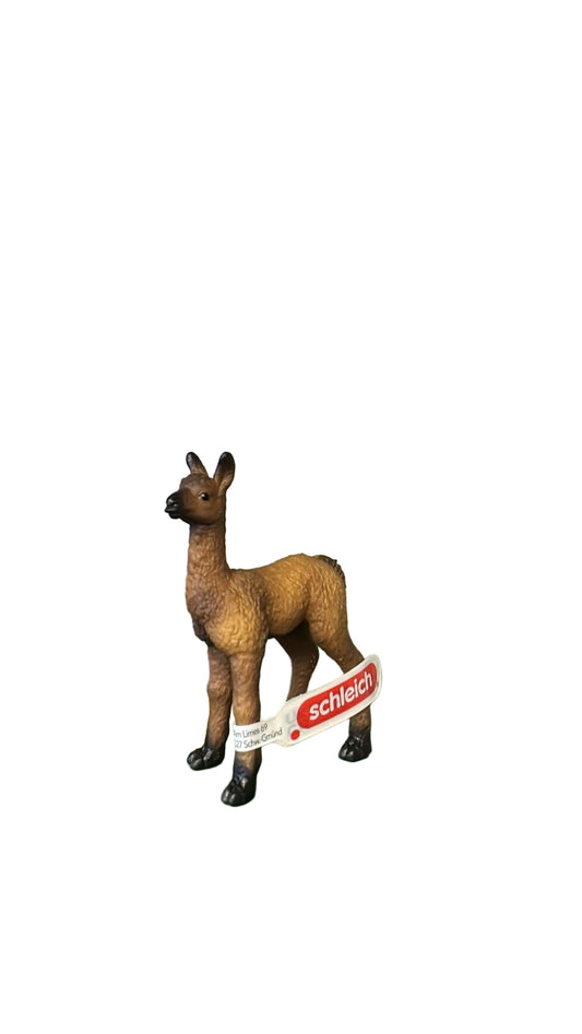 LLAMA FOAL