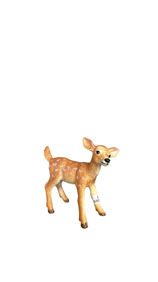 WHITE TAILED FAWN