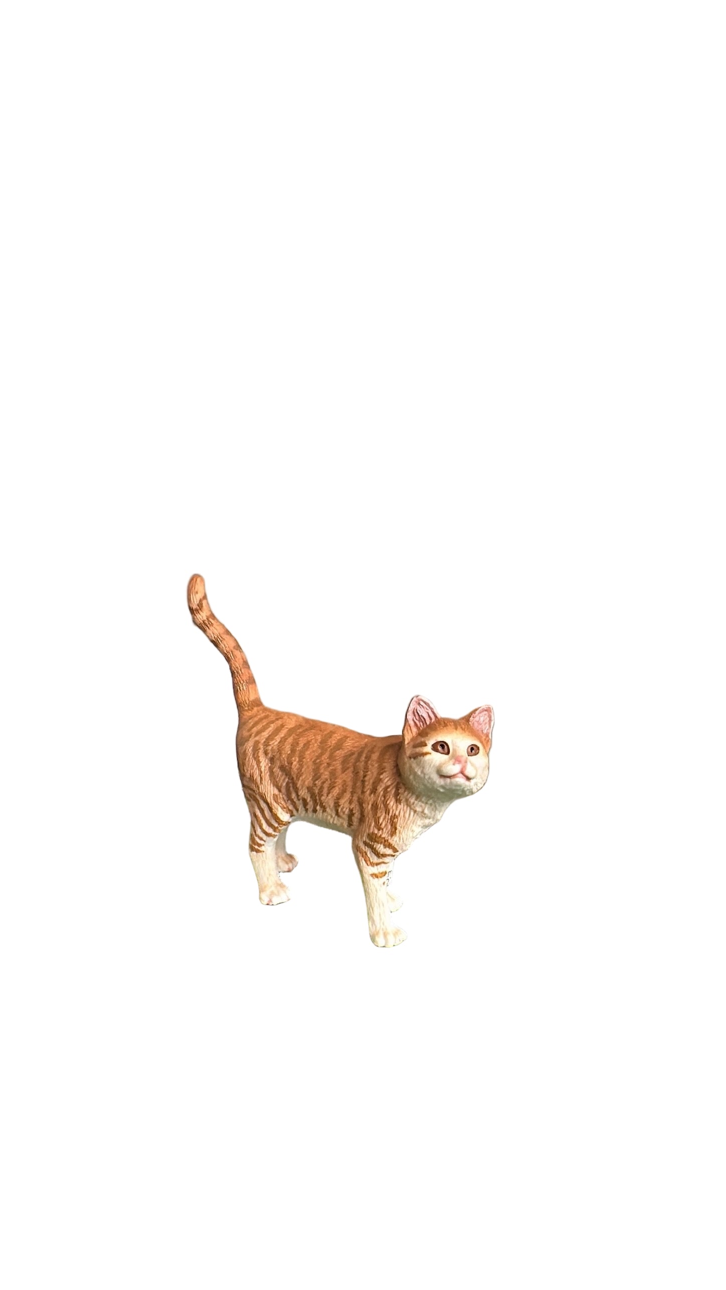CAT – Country Depot