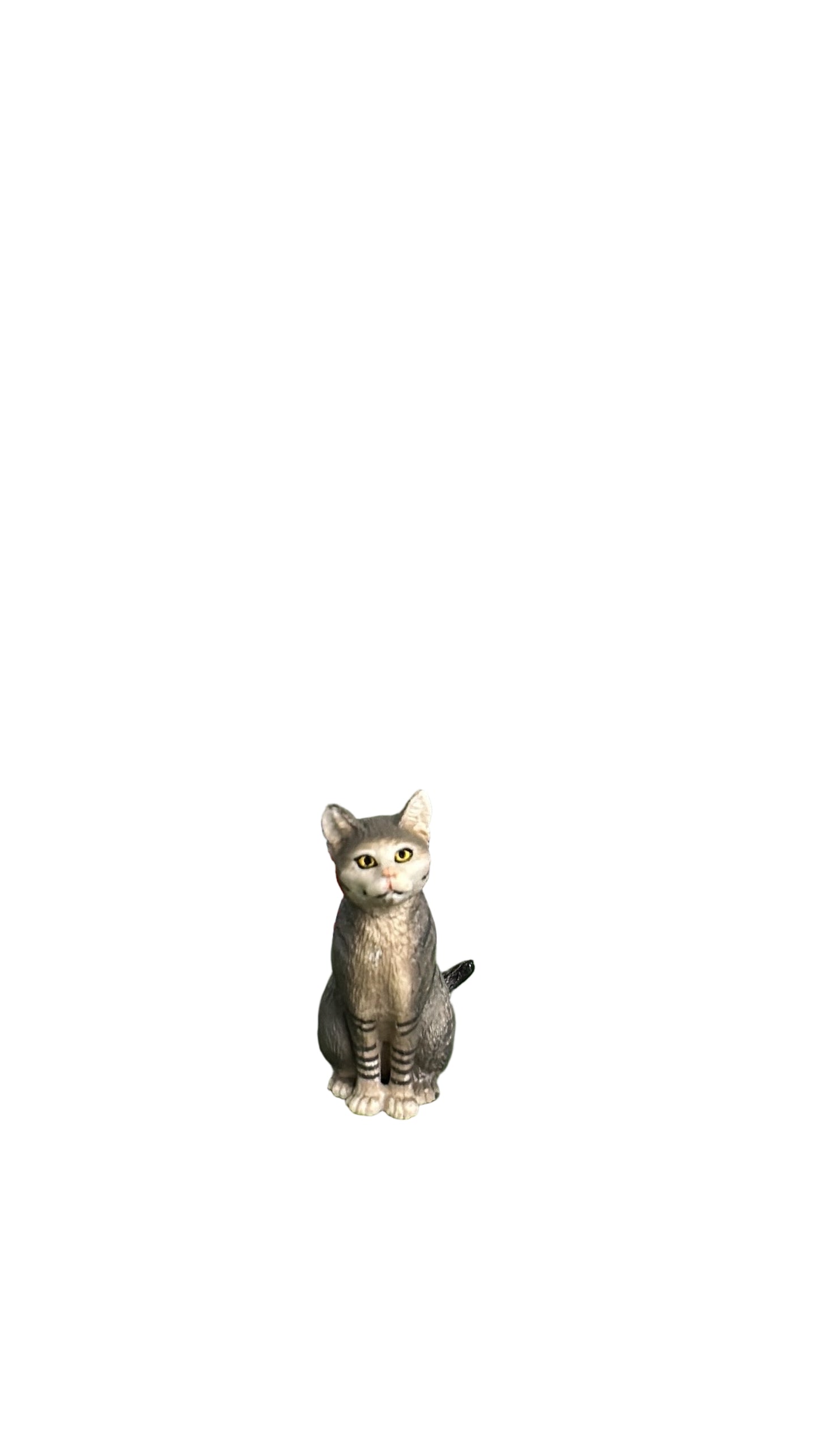 CAT SITTING