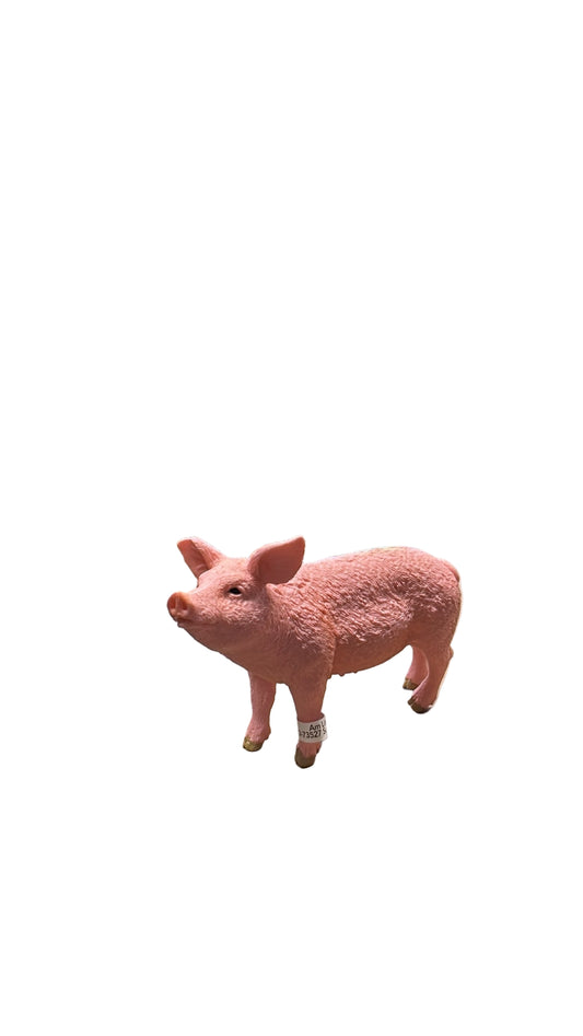 PIG