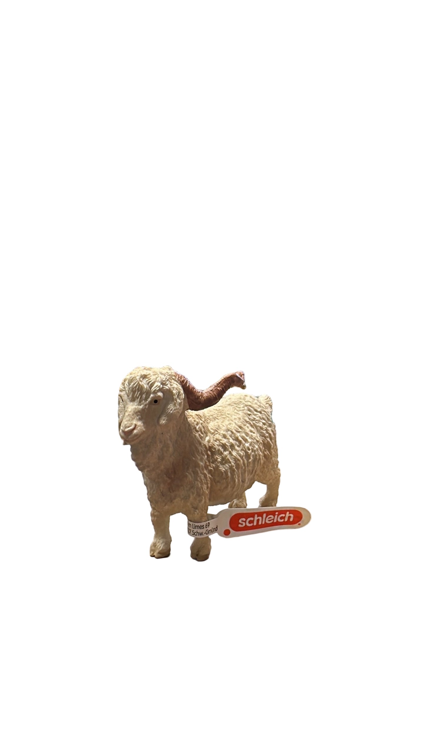 ANGORA GOAT