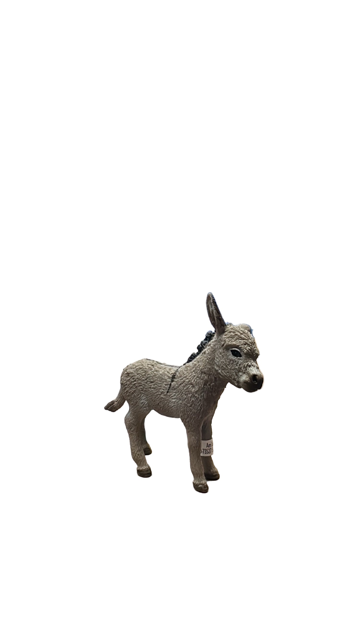 DONKEY FOAL