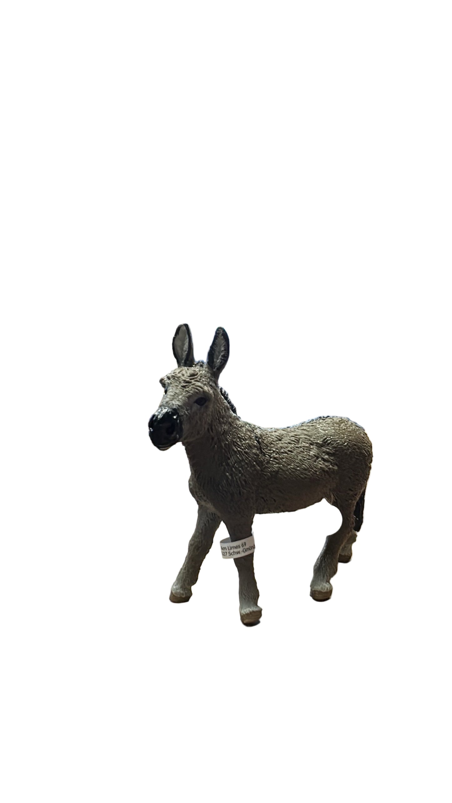 DONKEY