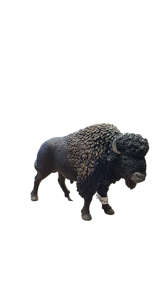 BISON