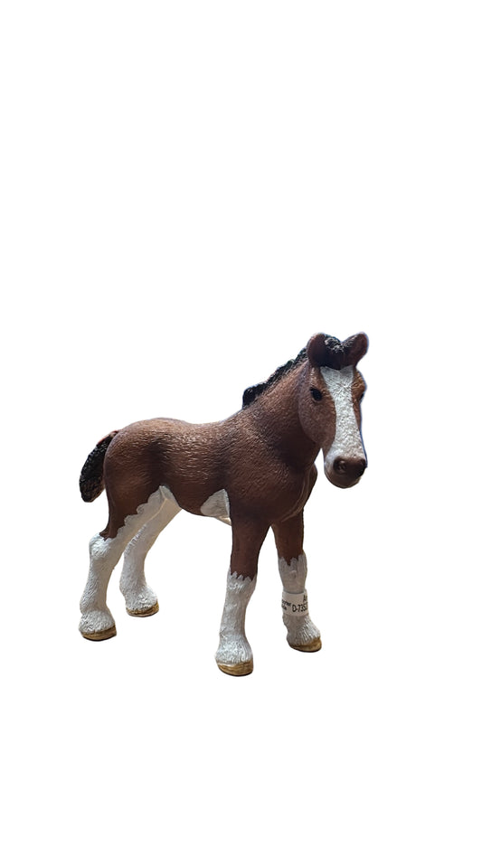 CLYDESDALE FOAL