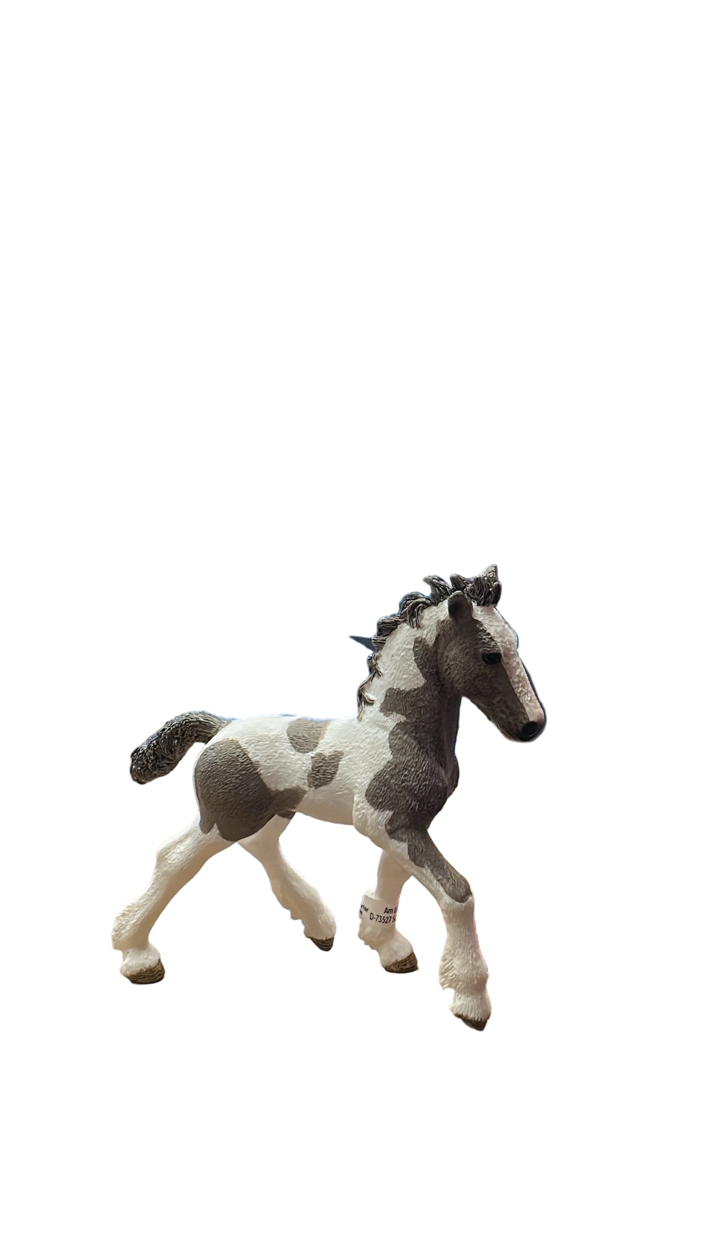 TINKER FOAL