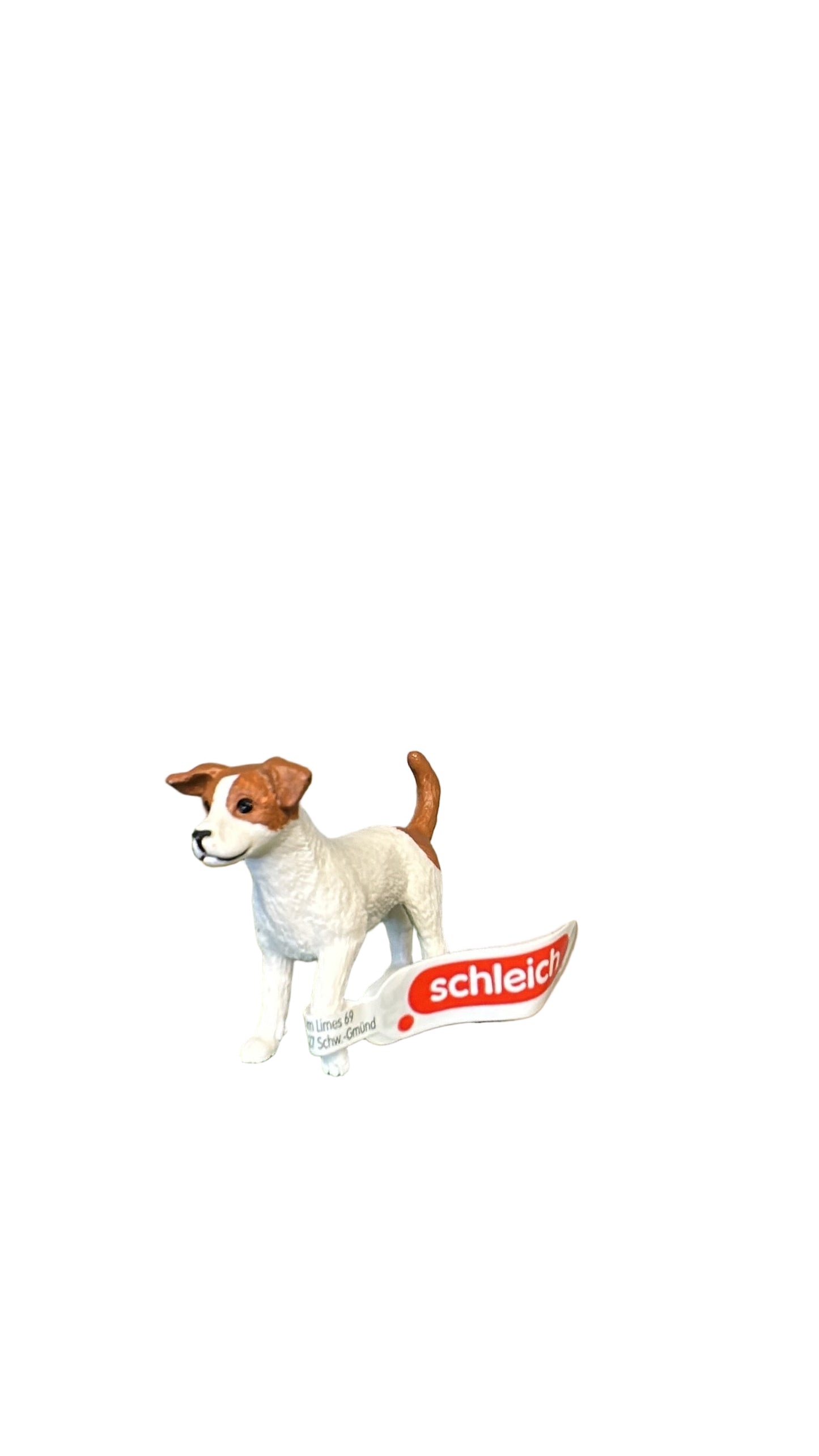 JACK RUSSEL TERRIER