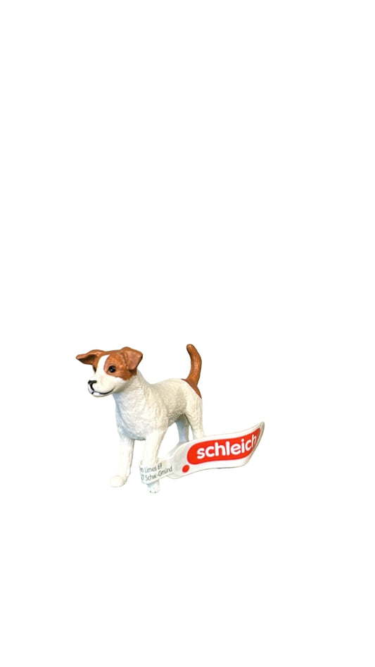 JACK RUSSEL TERRIER