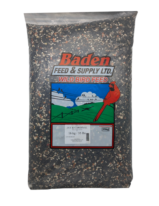 JAY AND CARDINAL MIX SEED