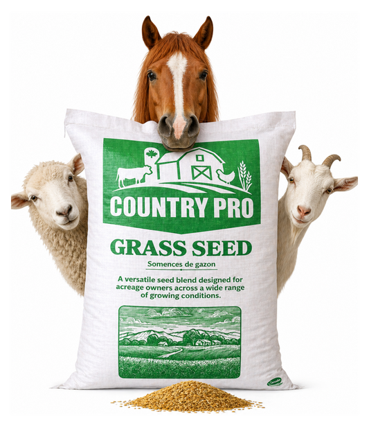 Pasture Mix – Balanced Forage Blend (10 kg)