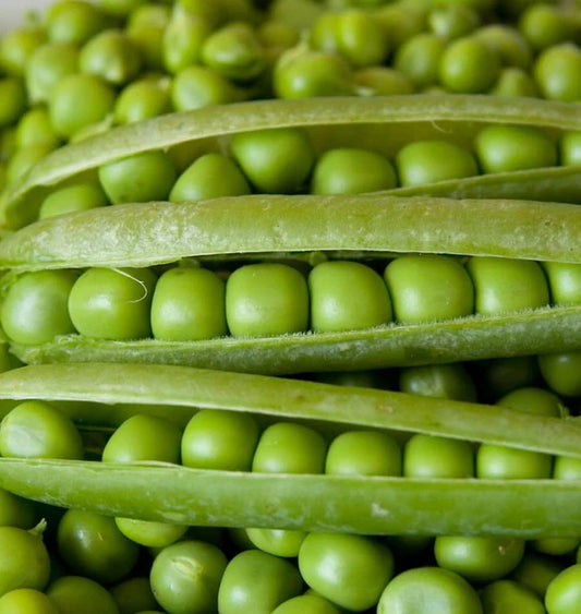 ALDERMAN SHELLING PEAS