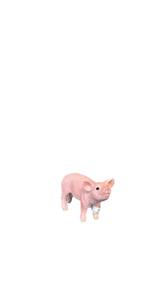 PIGLET