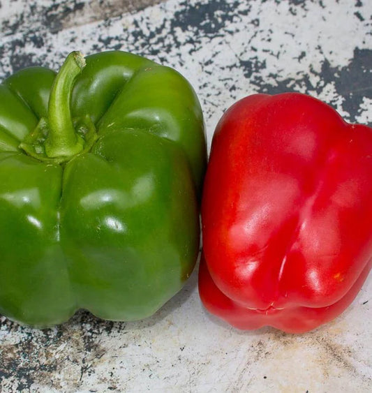 CALIFORNIA WONDER 300 PEPPER SWEET