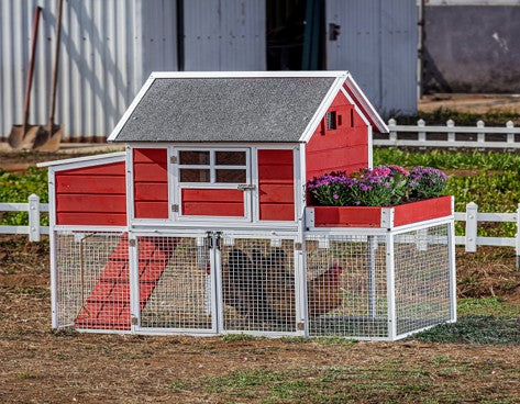 BLOOMING CHICKEN COOP