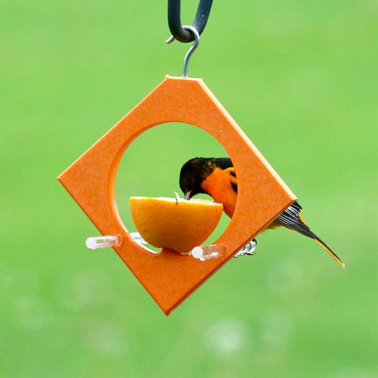 DIAMOND ORIOLE FEEDER