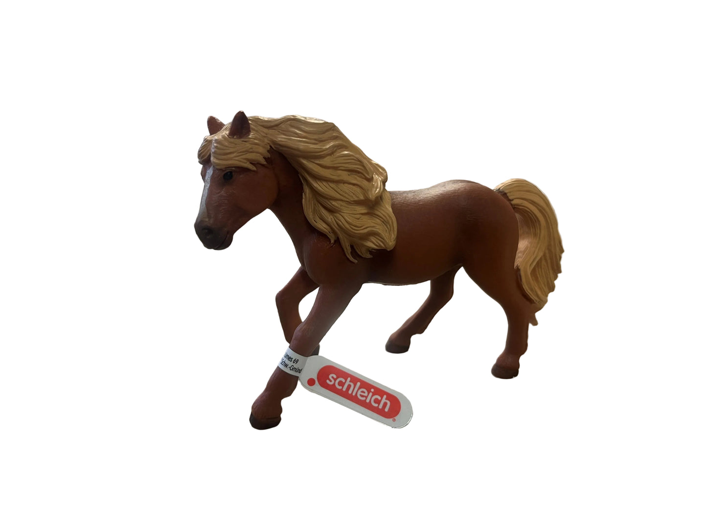 ISLAND PONY STALLION