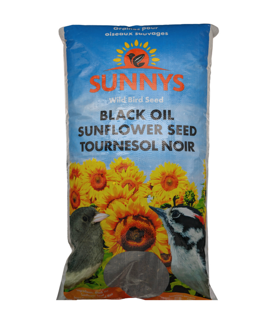 BLACK OIL SUNFLOWER SEED