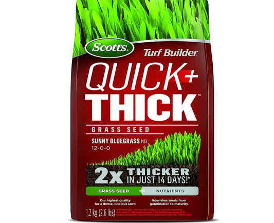 Scotts Quick And Thick Sunny Grass Seed 1.2kg