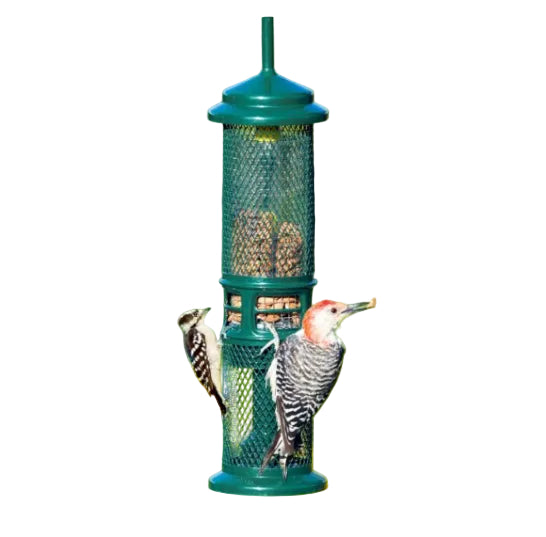 SQUIRREL BUSTER - NUT FEEDER