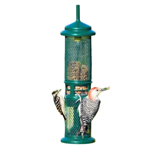 SQUIRREL BUSTER - NUT FEEDER