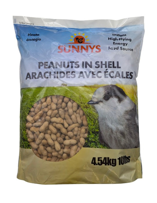 Peanuts in Shell for Wild Birds