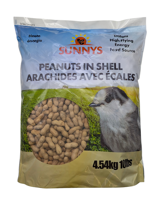 PEANUTS IN SHELL