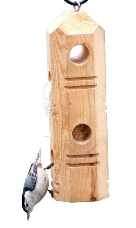 SUET PLUG FEEDER