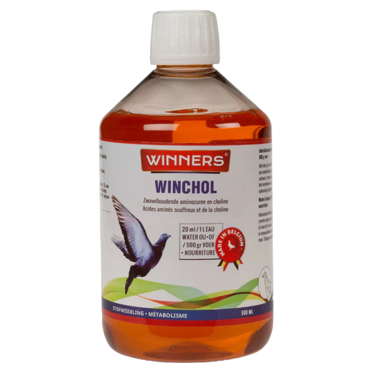 WINNERS WINCHOL 1L