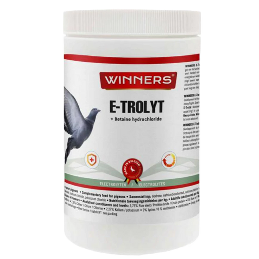 WINNERS E-TROLYT 700G