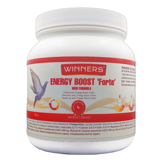 WINNERS ENERGY BOOST 'FORTE' 500G