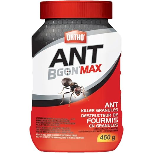 Ant Bgon Max