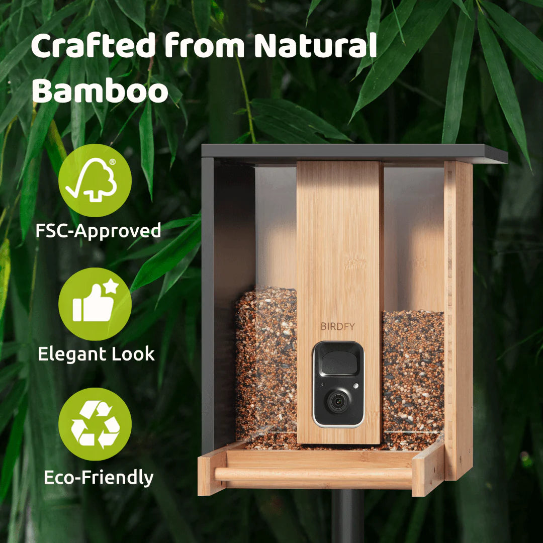 BIRDFY FEEDER BAMBOO AI BY SUBSCRIPTION WITH SOLAR PANEL