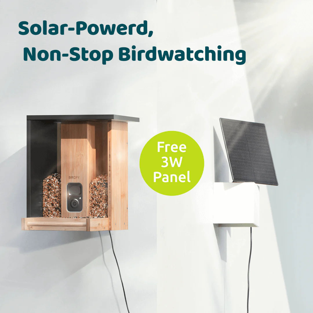 BIRDFY FEEDER BAMBOO AI BY SUBSCRIPTION WITH SOLAR PANEL