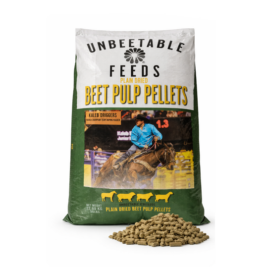 Unbeetable Feeds Beet Pulp Pellets – Plain Dried (22.7kg / 50lb)