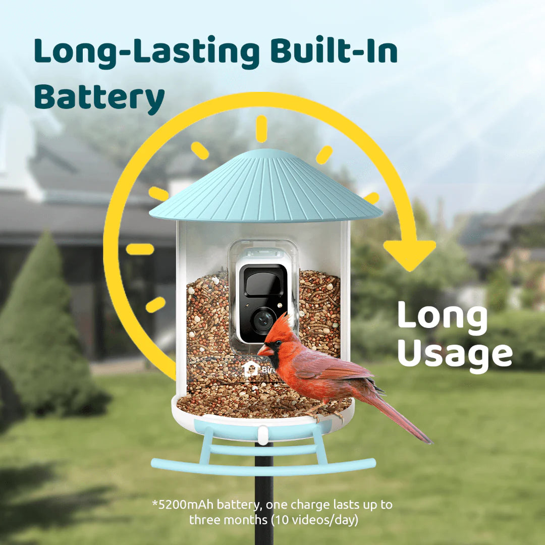 BIRDFY FEEDER 1 AI BY SUBSCRIPTION WITH SOLAR PANEL