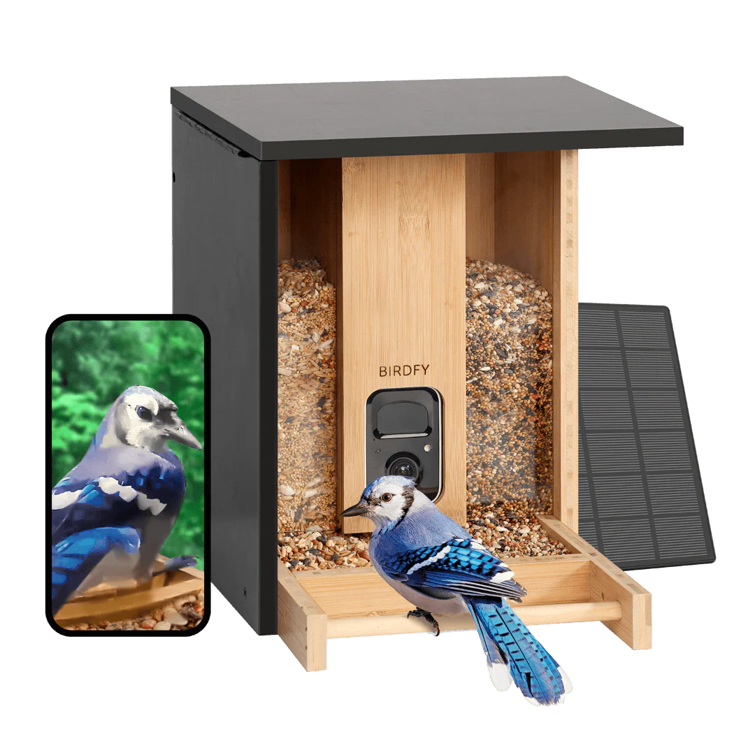 BIRDFY FEEDER BAMBOO AI BY SUBSCRIPTION WITH SOLAR PANEL