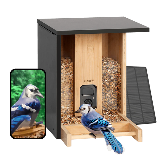 BIRDFY FEEDER BAMBOO AI BY SUBSCRIPTION WITH SOLAR PANEL