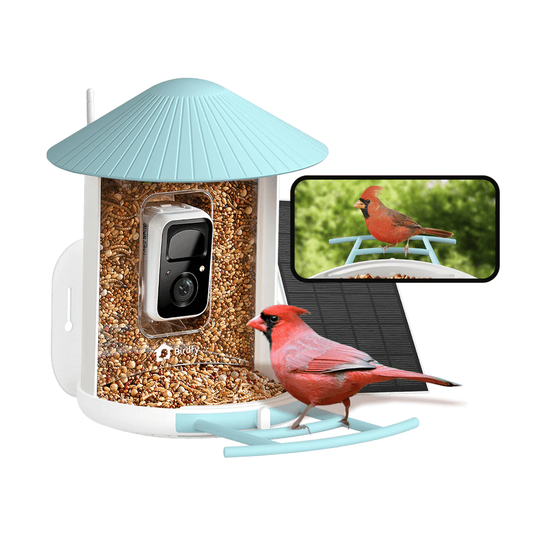 BIRDFY FEEDER 1 AI BY SUBSCRIPTION WITH SOLAR PANEL
