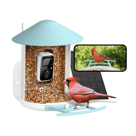 BIRDFY FEEDER 1 AI BY SUBSCRIPTION WITH SOLAR PANEL