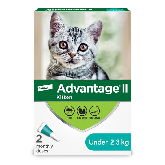 ADVANTAGE CAT 2-4KG