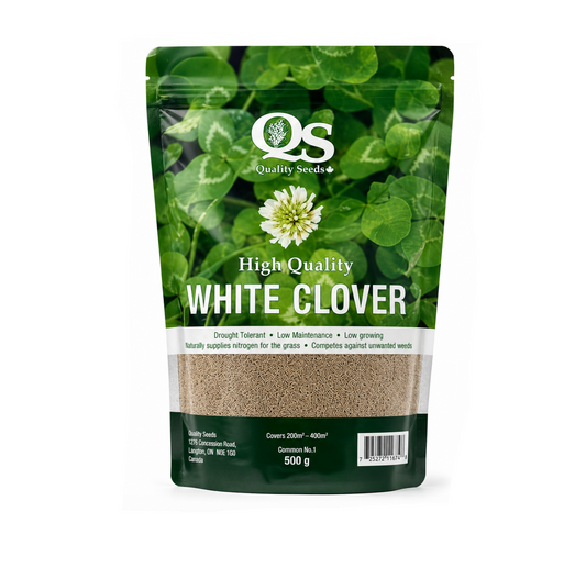 White Dutch Clover Seed – 500 g