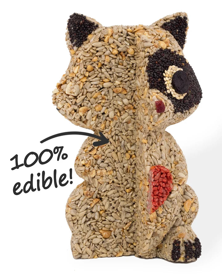 RACOON BUDDY BIRD FEEDER