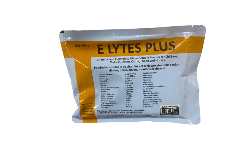 E LYTES PLUS 400G