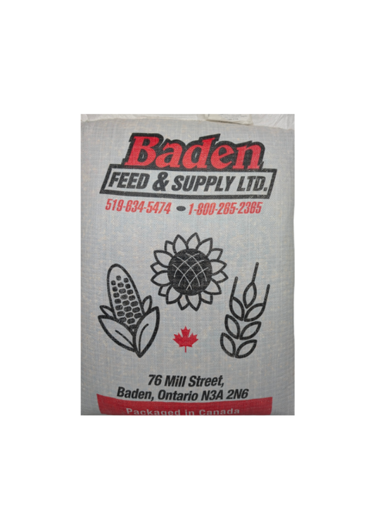 25KG BADEN WILD BIRD SEED